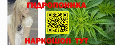 соль ск Ипатово