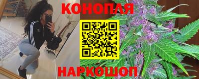 соль ск Ипатово
