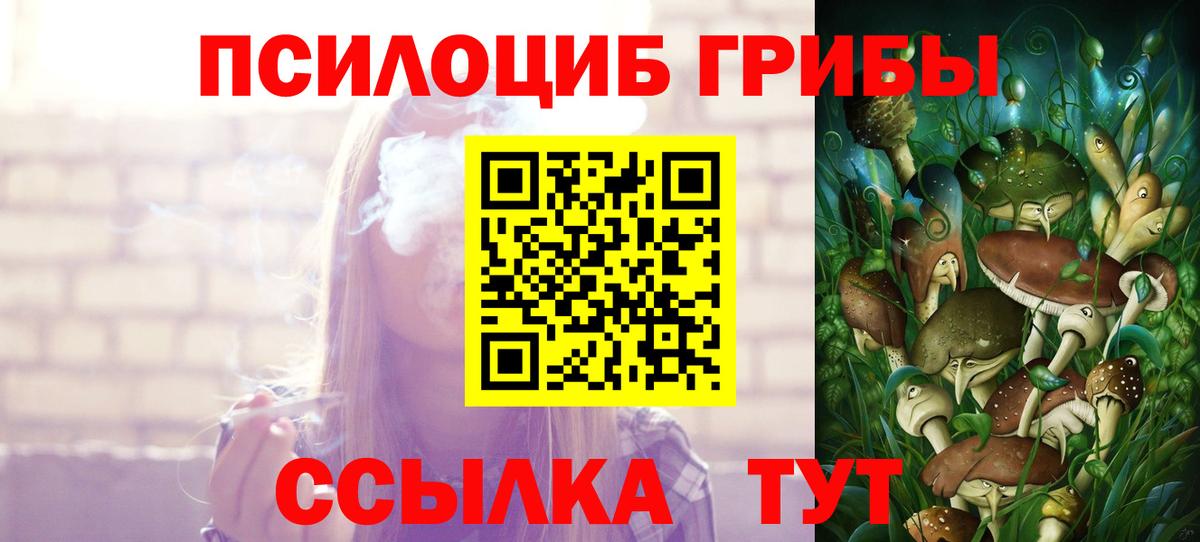 Псилоцибиновые грибы мицелий  Вход с VPN  Котовск  Галлюциногенные грибы GOLDEN TEACHER 